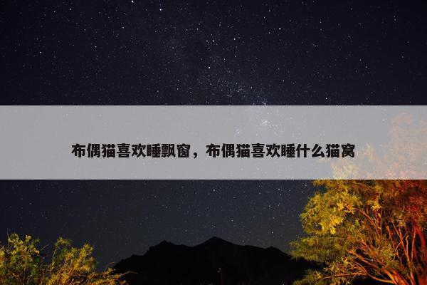 布偶猫喜欢睡飘窗，布偶猫喜欢睡什么猫窝