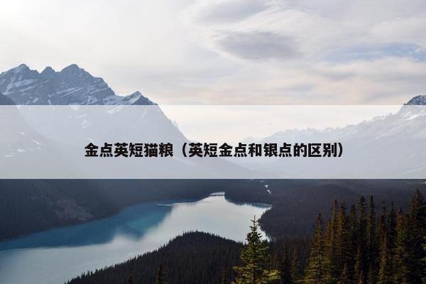 金点英短猫粮（英短金点和银点的区别）