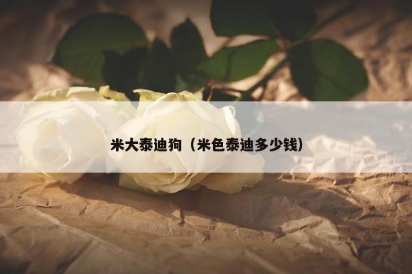 米大泰迪狗（米色泰迪多少钱）