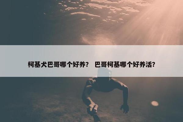 柯基犬巴哥哪个好养？ 巴哥柯基哪个好养活？