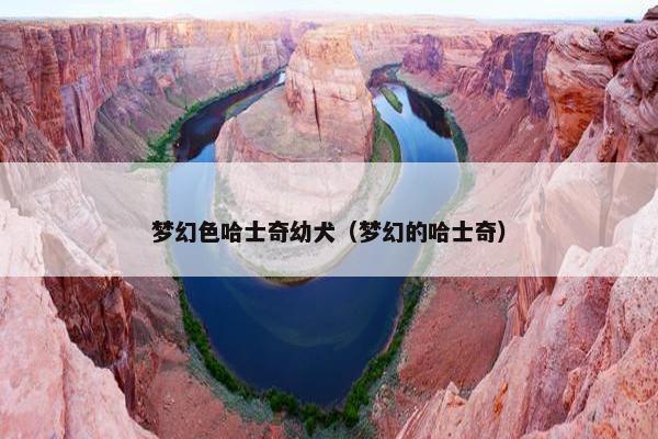 梦幻色哈士奇幼犬（梦幻的哈士奇）