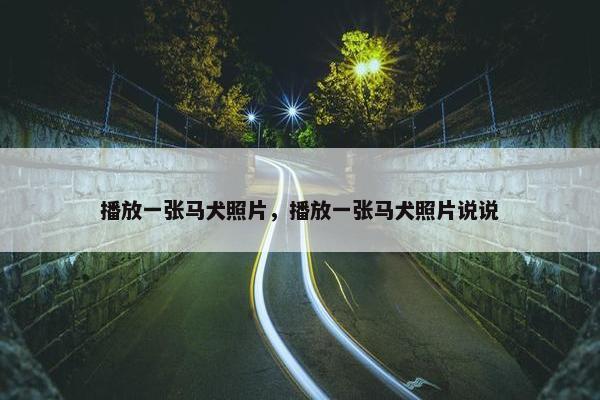 播放一张马犬照片，播放一张马犬照片说说