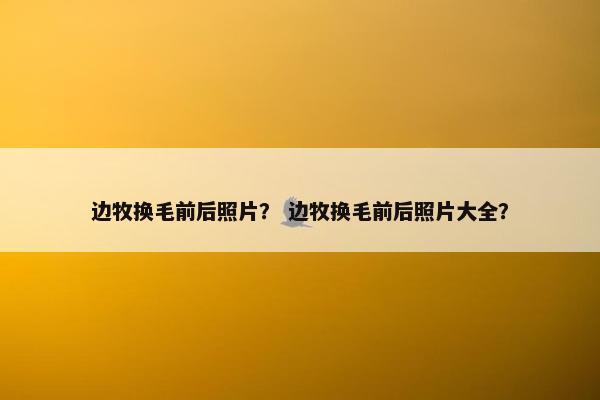边牧换毛前后照片？ 边牧换毛前后照片大全？