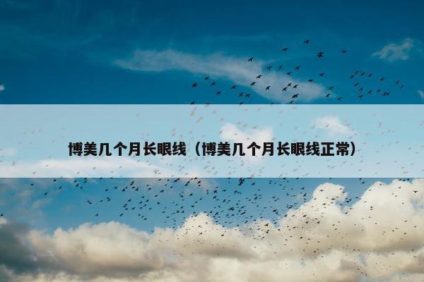 博美几个月长眼线（博美几个月长眼线正常）