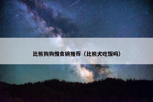 比熊狗狗慢食碗推荐（比熊犬吃饭吗）