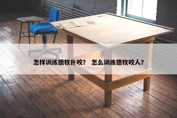 怎样训练德牧扑咬？ 怎么训练德牧咬人？