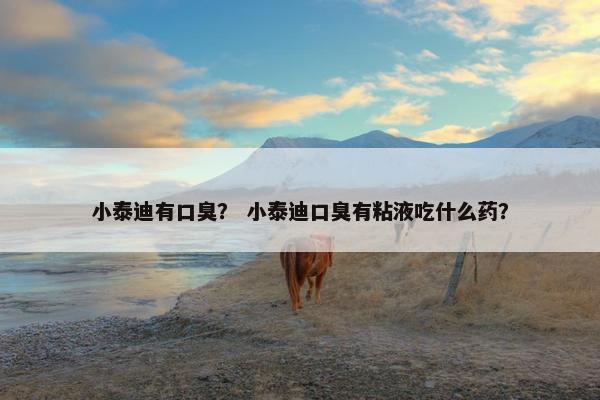 小泰迪有口臭？ 小泰迪口臭有粘液吃什么药？