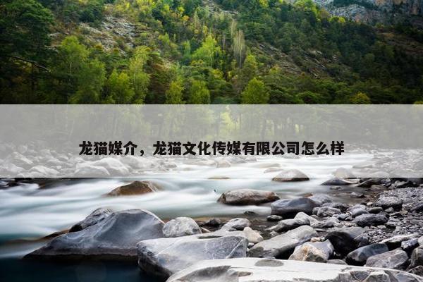 龙猫媒介，龙猫文化传媒有限公司怎么样