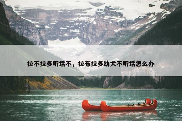 拉不拉多听话不，拉布拉多幼犬不听话怎么办