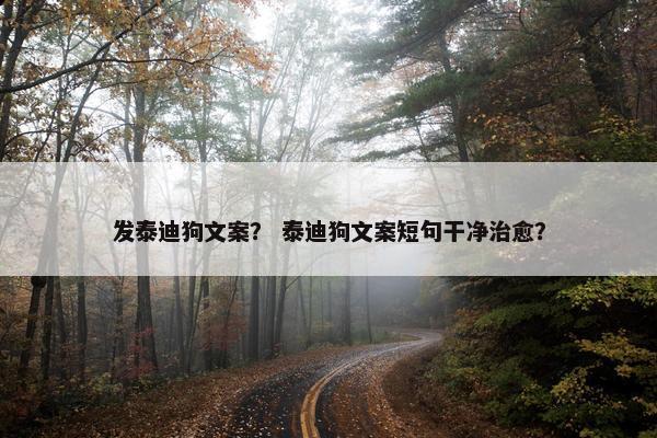 发泰迪狗文案？ 泰迪狗文案短句干净治愈？