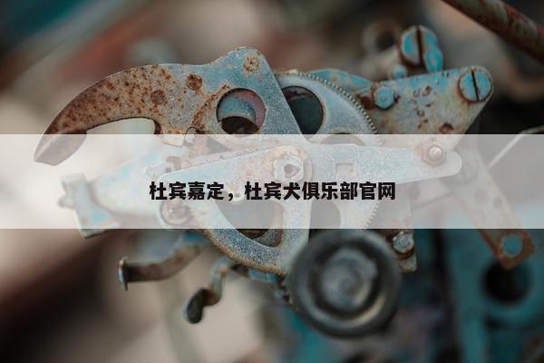杜宾嘉定，杜宾犬俱乐部官网
