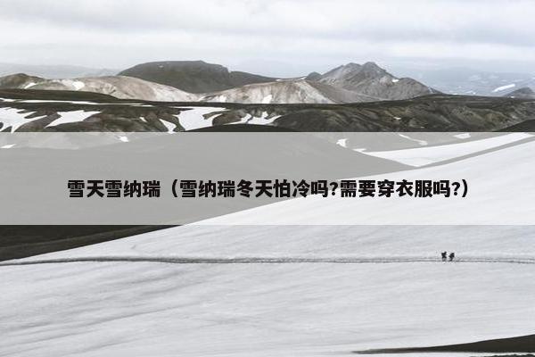 雪天雪纳瑞（雪纳瑞冬天怕冷吗?需要穿衣服吗?）