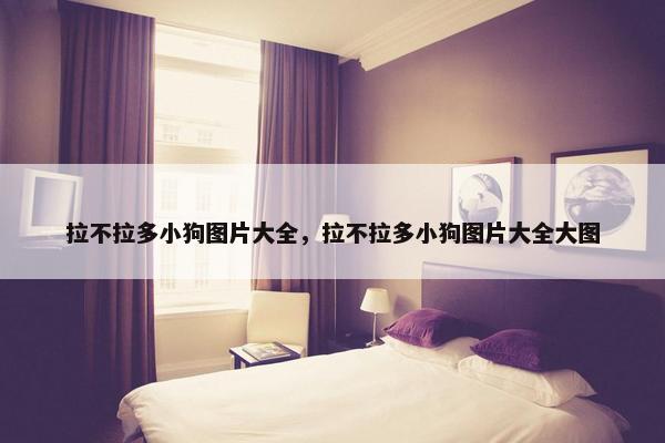 拉不拉多小狗图片大全，拉不拉多小狗图片大全大图