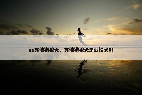 vs苏俄猎狼犬，苏俄猎狼犬是烈性犬吗