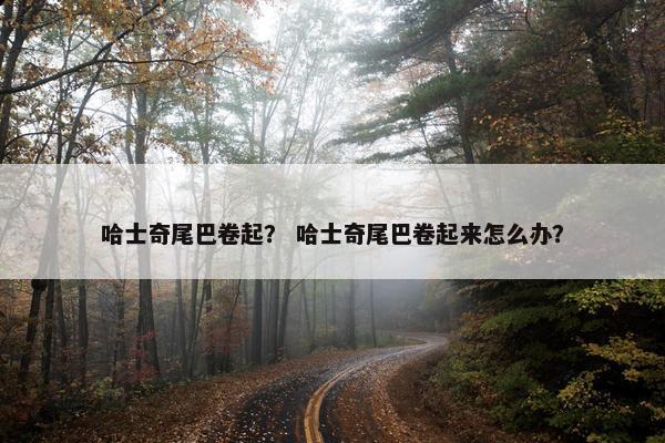 哈士奇尾巴卷起？ 哈士奇尾巴卷起来怎么办？
