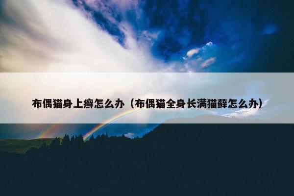 布偶猫身上癣怎么办（布偶猫全身长满猫藓怎么办）