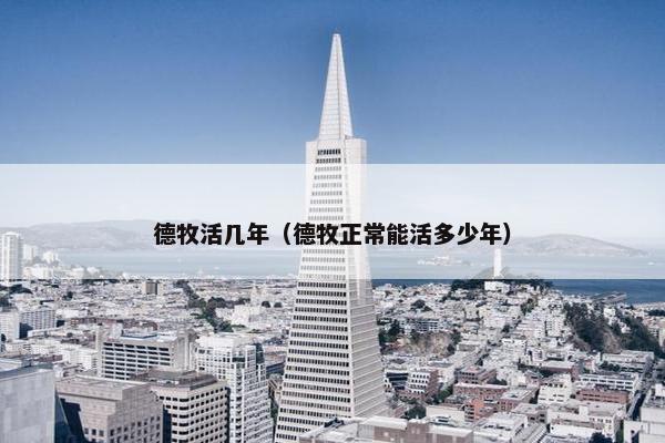 德牧活几年（德牧正常能活多少年）