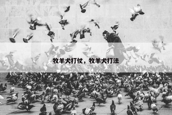 牧羊犬打仗，牧羊犬打法