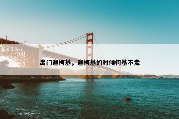 出门遛柯基，遛柯基的时候柯基不走