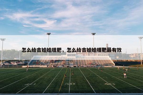 怎么给吉娃娃增肥，怎么给吉娃娃增肥最有效