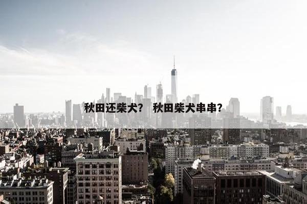 秋田还柴犬？ 秋田柴犬串串？