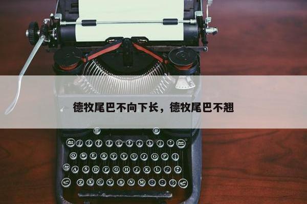 德牧尾巴不向下长，德牧尾巴不翘