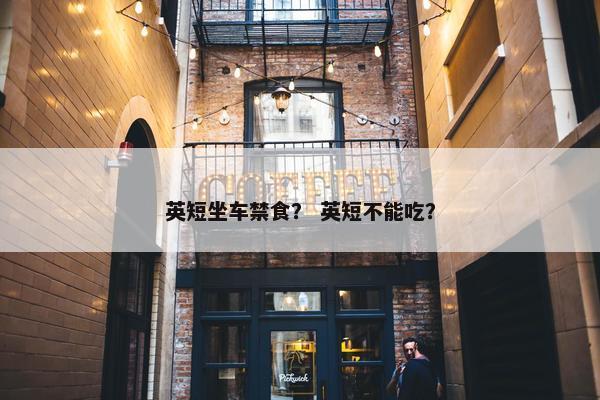 英短坐车禁食？ 英短不能吃？