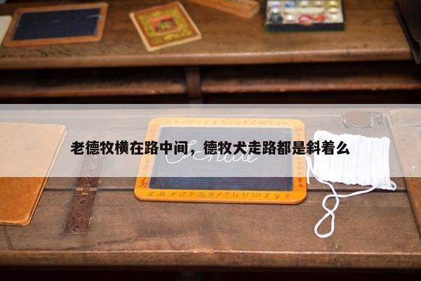 老德牧横在路中间，德牧犬走路都是斜着么