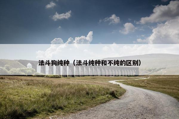 法斗狗纯种（法斗纯种和不纯的区别）