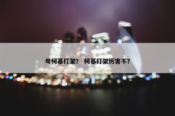 母柯基打架？ 柯基打架厉害不？