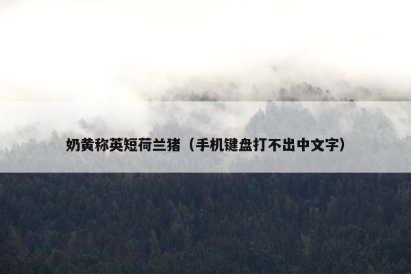 奶黄称英短荷兰猪（手机键盘打不出中文字）