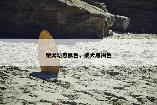 柴犬幼崽黑色，柴犬黑褐色