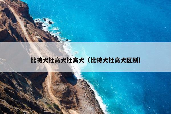 比特犬杜高犬杜宾犬（比特犬杜高犬区别）