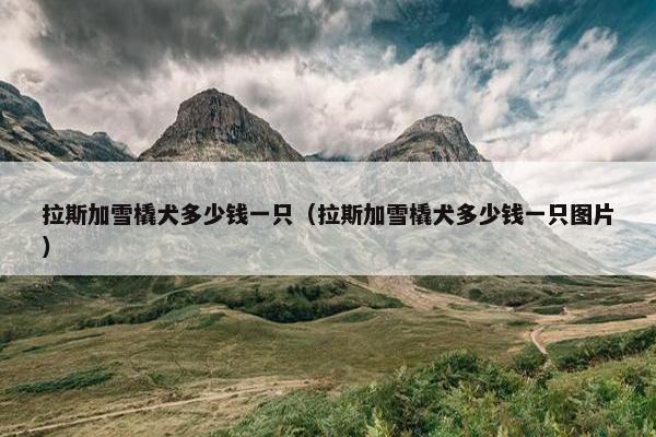 拉斯加雪橇犬多少钱一只（拉斯加雪橇犬多少钱一只图片）