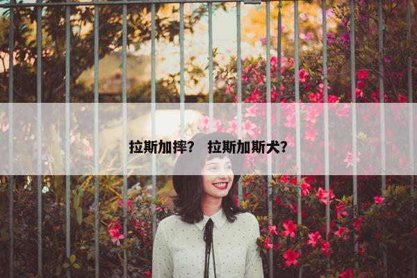 拉斯加摔？ 拉斯加斯犬？