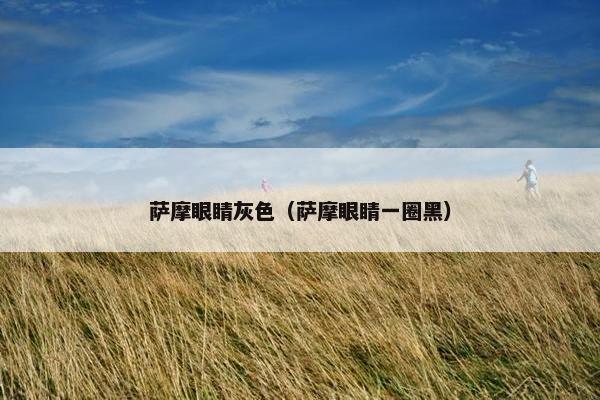 萨摩眼睛灰色（萨摩眼睛一圈黑）