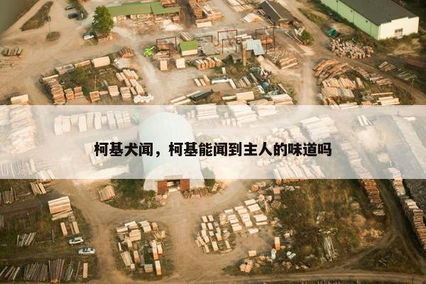 柯基犬闻，柯基能闻到主人的味道吗