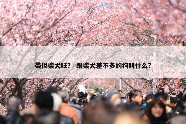 类似柴犬旺？ 跟柴犬差不多的狗叫什么？