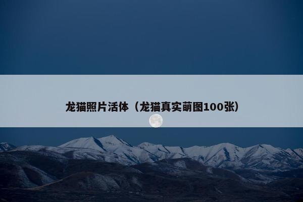 龙猫照片活体（龙猫真实萌图100张）