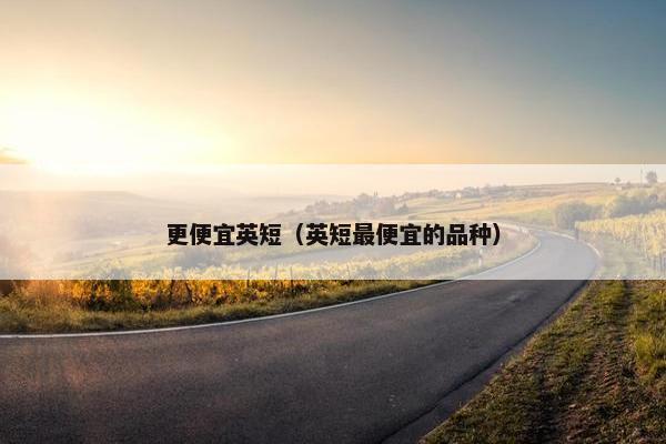 更便宜英短（英短最便宜的品种）