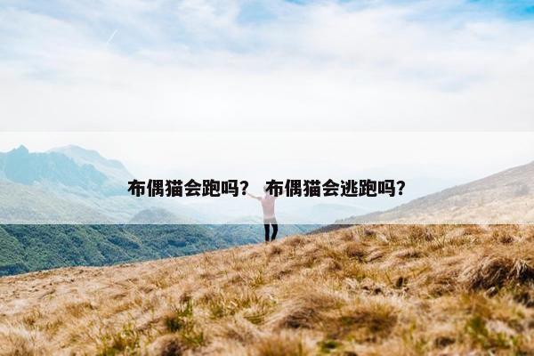 布偶猫会跑吗？ 布偶猫会逃跑吗？
