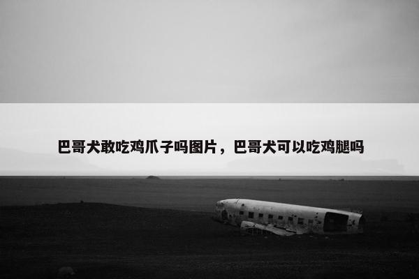 巴哥犬敢吃鸡爪子吗图片，巴哥犬可以吃鸡腿吗