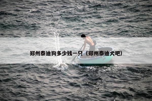 郑州泰迪狗多少钱一只（郑州泰迪犬吧）