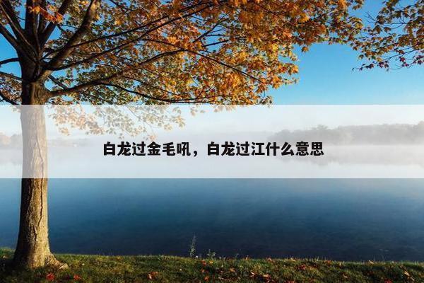 白龙过金毛吼，白龙过江什么意思