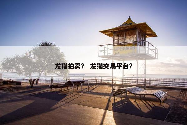 龙猫拍卖？ 龙猫交易平台？