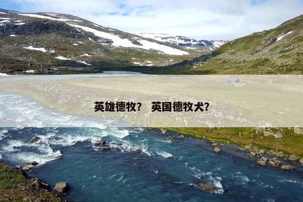 英雄德牧？ 英国德牧犬？