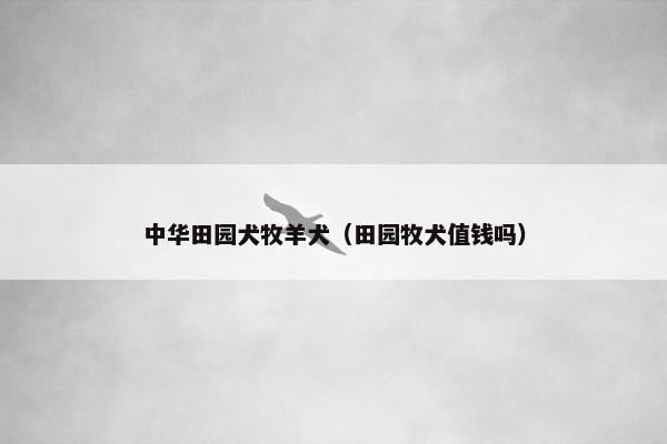 中华田园犬牧羊犬（田园牧犬值钱吗）