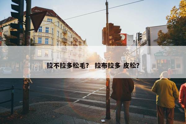 拉不拉多松毛？ 拉布拉多 皮松？