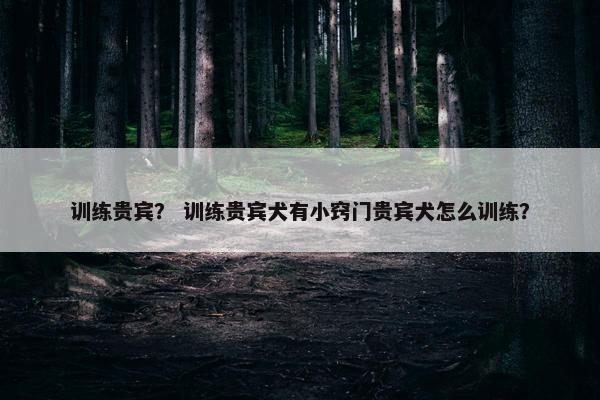 训练贵宾？ 训练贵宾犬有小窍门贵宾犬怎么训练？