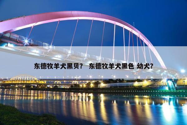 东德牧羊犬黑贝？ 东德牧羊犬黑色 幼犬？